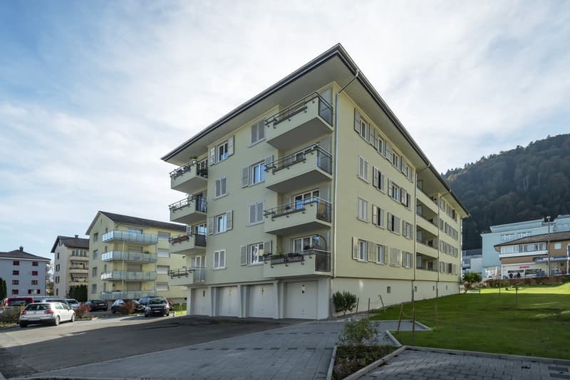 Wohnen in Stadtnähe (1)