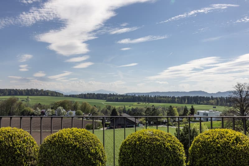 Aussicht von Süd-Terrasse