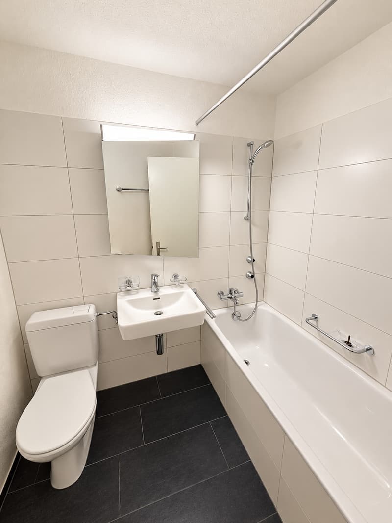 Charmante 2.5 Zimmer-Wohnung im schönen Stäfa (5)