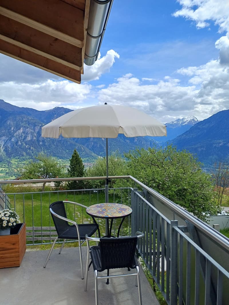Wohn-Ferienhaus im Skigebiet (3)