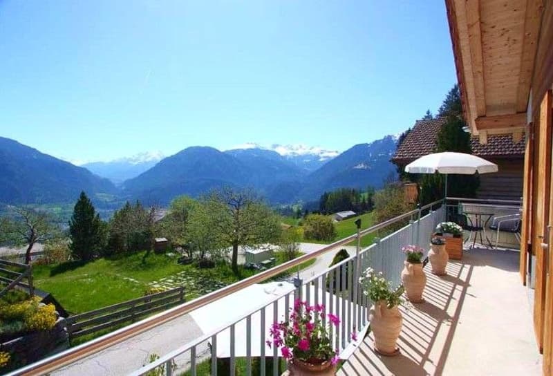 Wohn-Ferienhaus im Skigebiet (1)