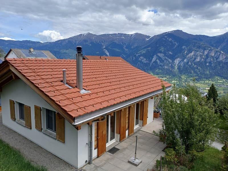Wohn-Ferienhaus im Skigebiet (4)