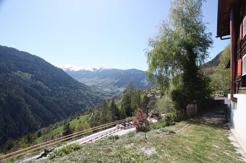 Chalet-Blockhaus mit Stall und Wiese (3)