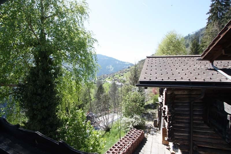 Chalet-Blockhaus mit Stall und Wiese (2)