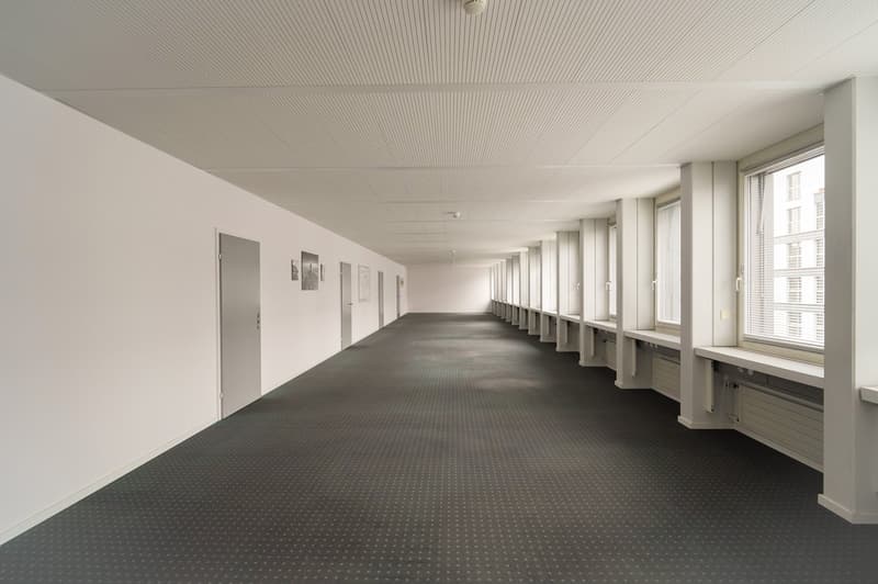 Empty corridor with white walls, grey carpet, white ceiling, white windows with blinds, grey radiators, grey doors.