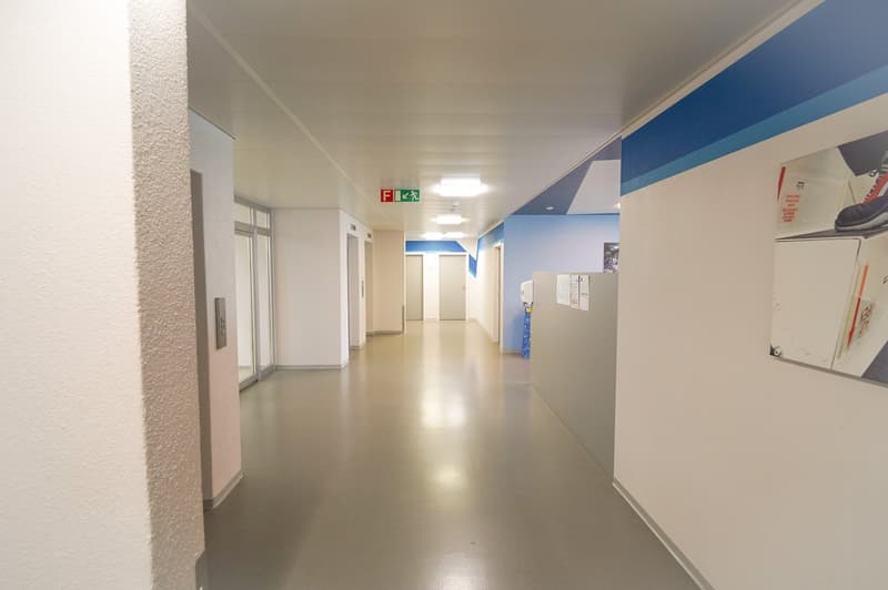 Empty hallway with doors, white walls, gray flooring, blue stripes, exit signs, advertisement poster, ceiling lamps.