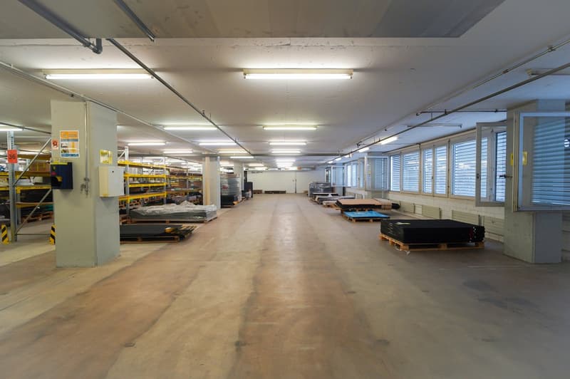 Large open warehouse space with concrete floors, shelving units, and storage pallets. The space is well-lit with fluorescent lighting and has large windows along the walls.