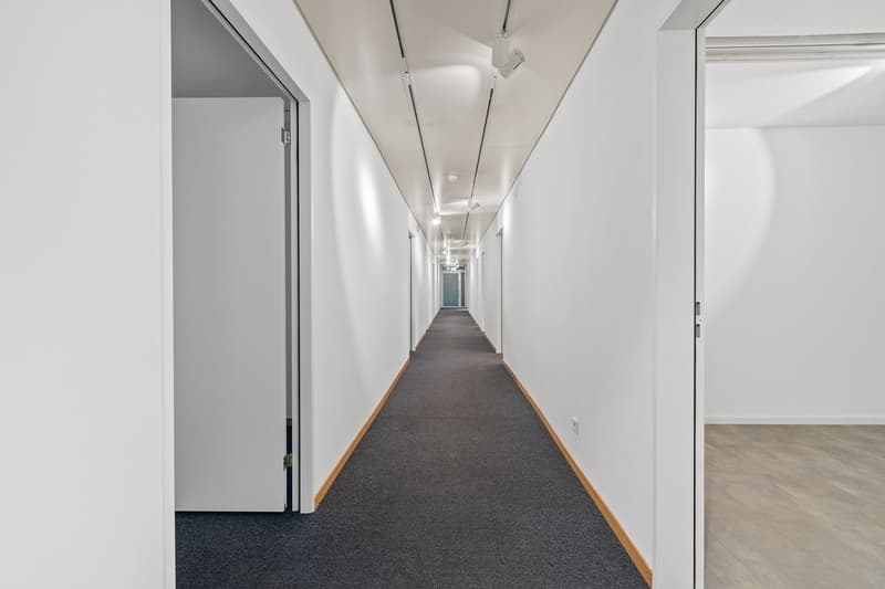 Corridor with white walls, gray carpeting, and overhead lighting.