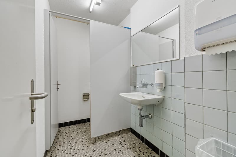 tiled wall and floor, sink, mirror, toilet paper dispenser, soap dispenser, ceiling light
