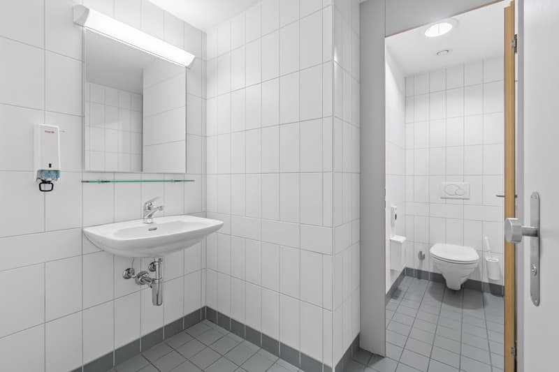 Tiled bathroom with a sink, toilet, and a glass shelf above the sink