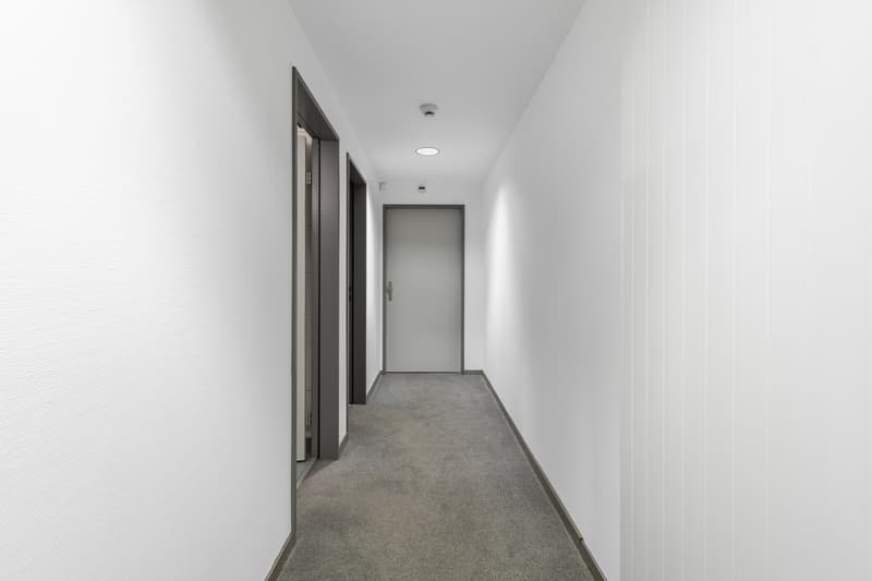 Long, narrow hallway with white walls, gray carpeted floor, and several closed doors on either side.