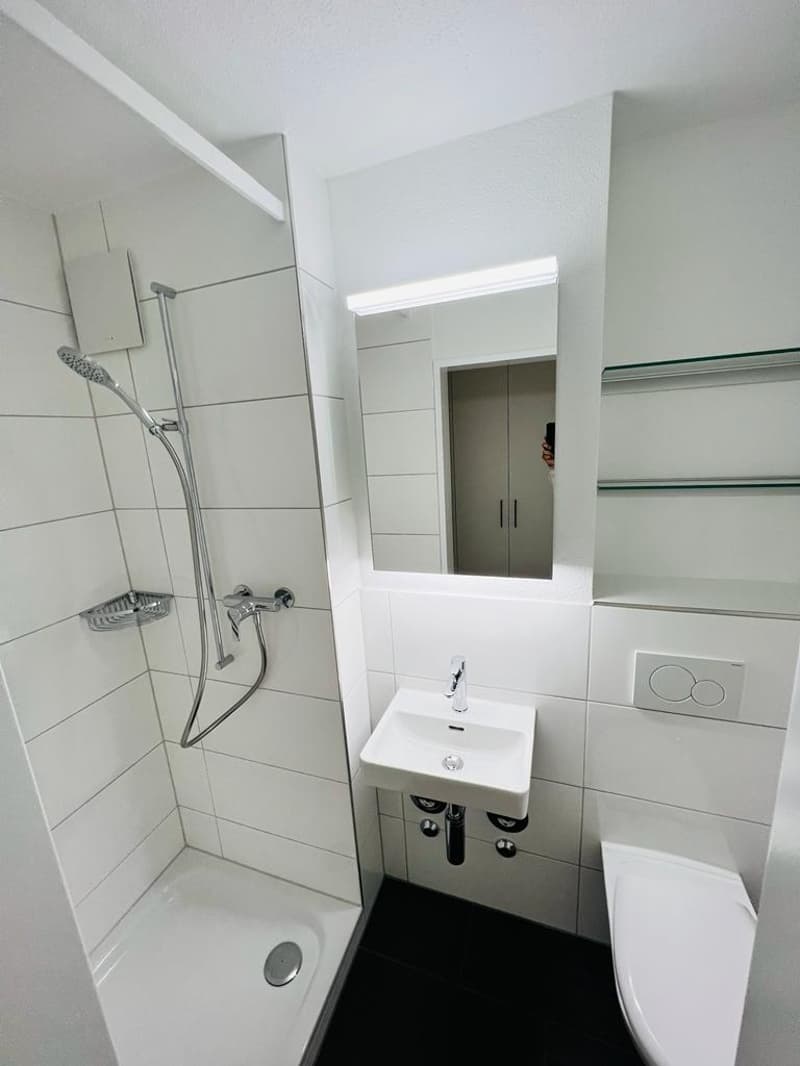 ERSTVERMIETUNG - Moderne 4.5-Zimmer-Wohnungen nach Sanierung (6)