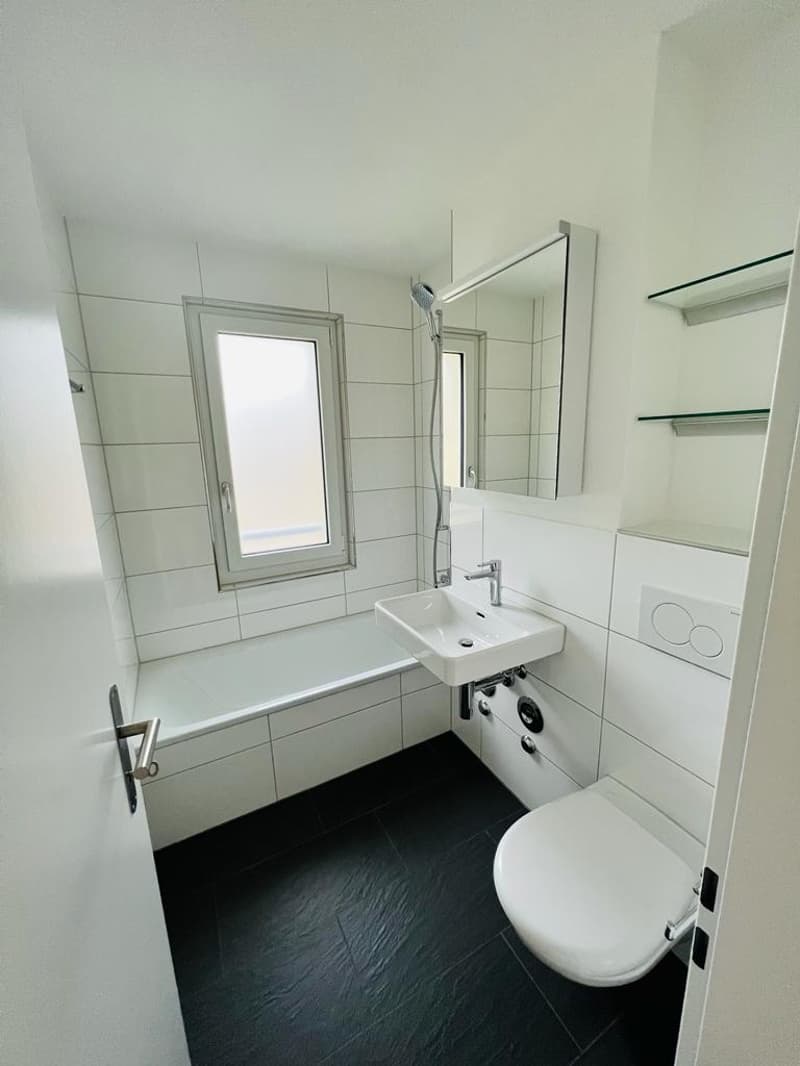 ERSTVERMIETUNG - Moderne 4.5-Zimmer-Wohnungen nach Sanierung (5)