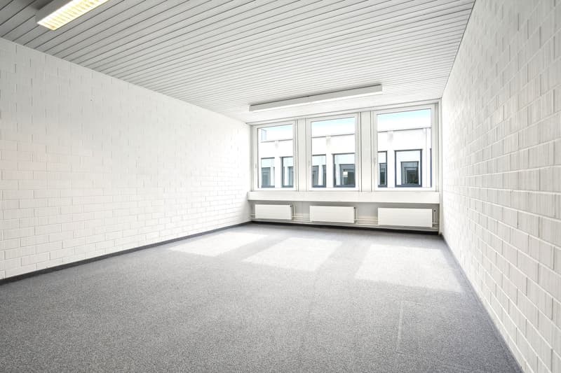 Viel Raum für Ihre Vision Büro-/Gewerbefläche nahe Flughafen Zürich (5)