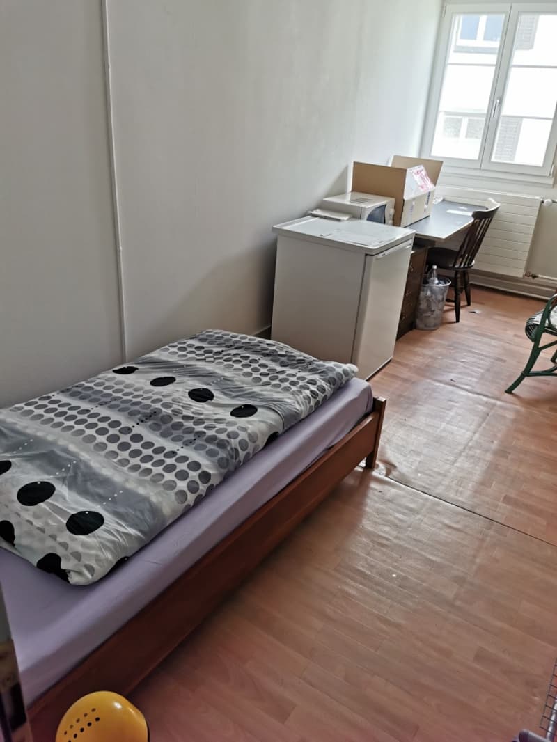 Gemütliches 1-Zimmer-Apartment in Wallisellen (3)