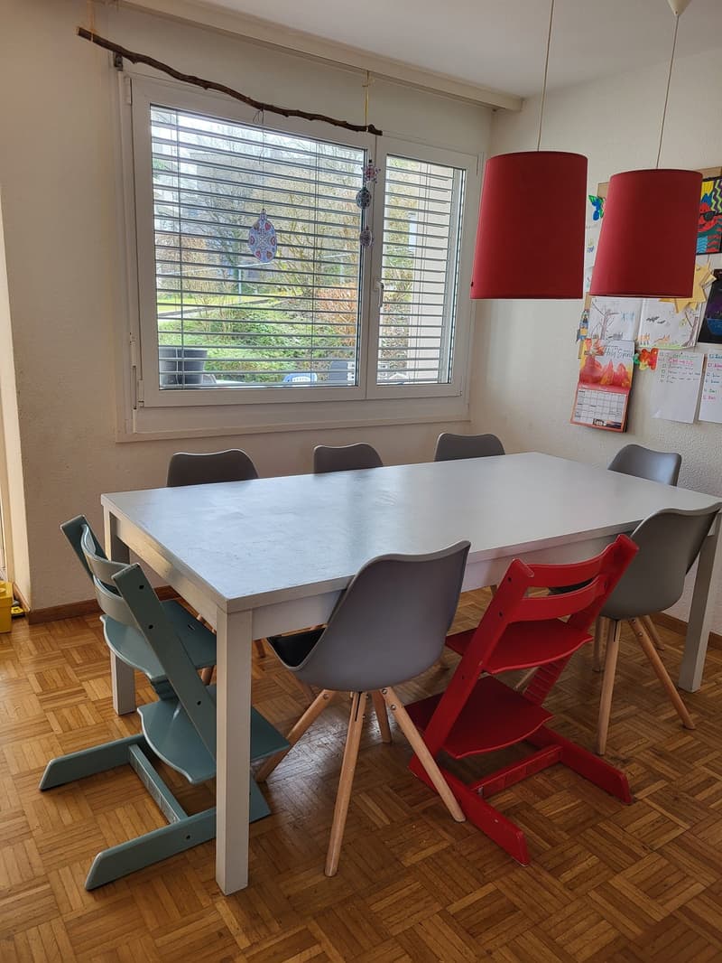 Traumhafte 4.5-Zimmer-Maisonettewohnung in Adliswil zu vermieten! (4)