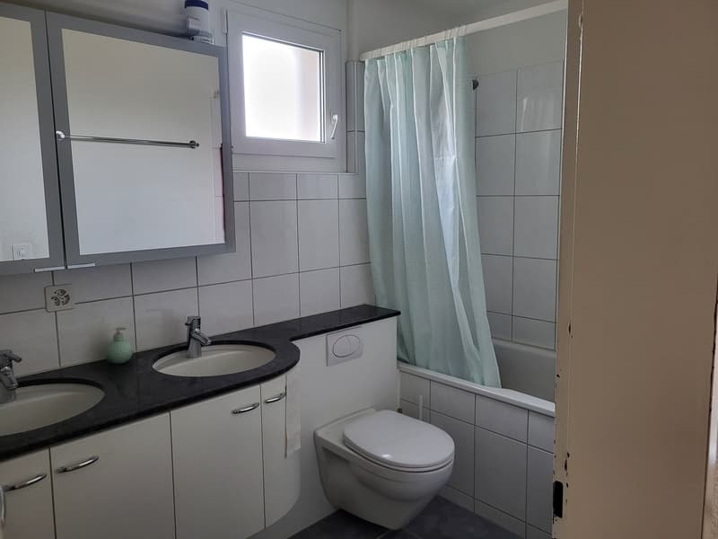 Traumhafte 4.5-Zimmer-Maisonettewohnung in Adliswil zu vermieten! (5)