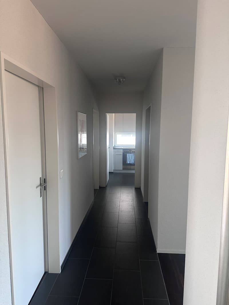 Attraktive 3.5-Zimmerwohnung an ruhiger Lage in Dübendorf zu vermieten! (6)