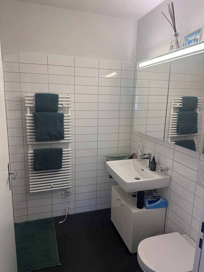 Attraktive 3.5-Zimmerwohnung an ruhiger Lage in Dübendorf zu vermieten! (9)