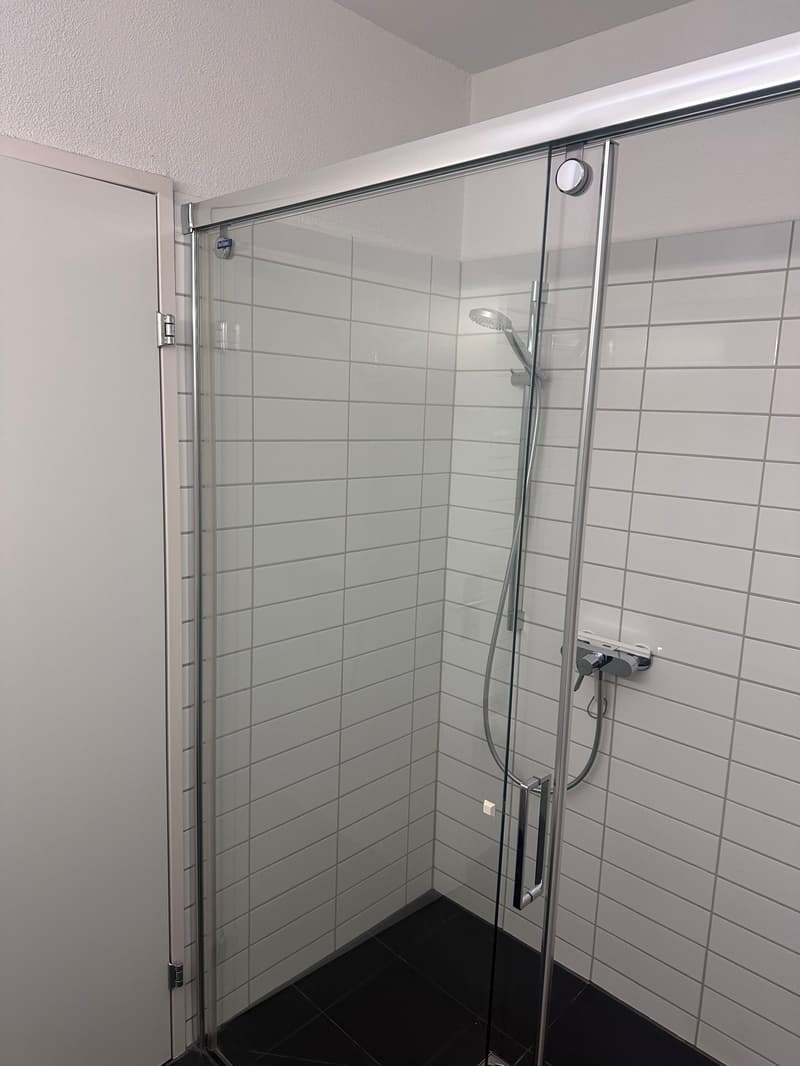 Attraktive 3.5-Zimmerwohnung an ruhiger Lage in Dübendorf zu vermieten! (8)