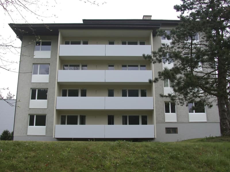 Ruhige 4.5-Zimmer-Wohnung mit Balkon und Garage in Nürensdorf (1)