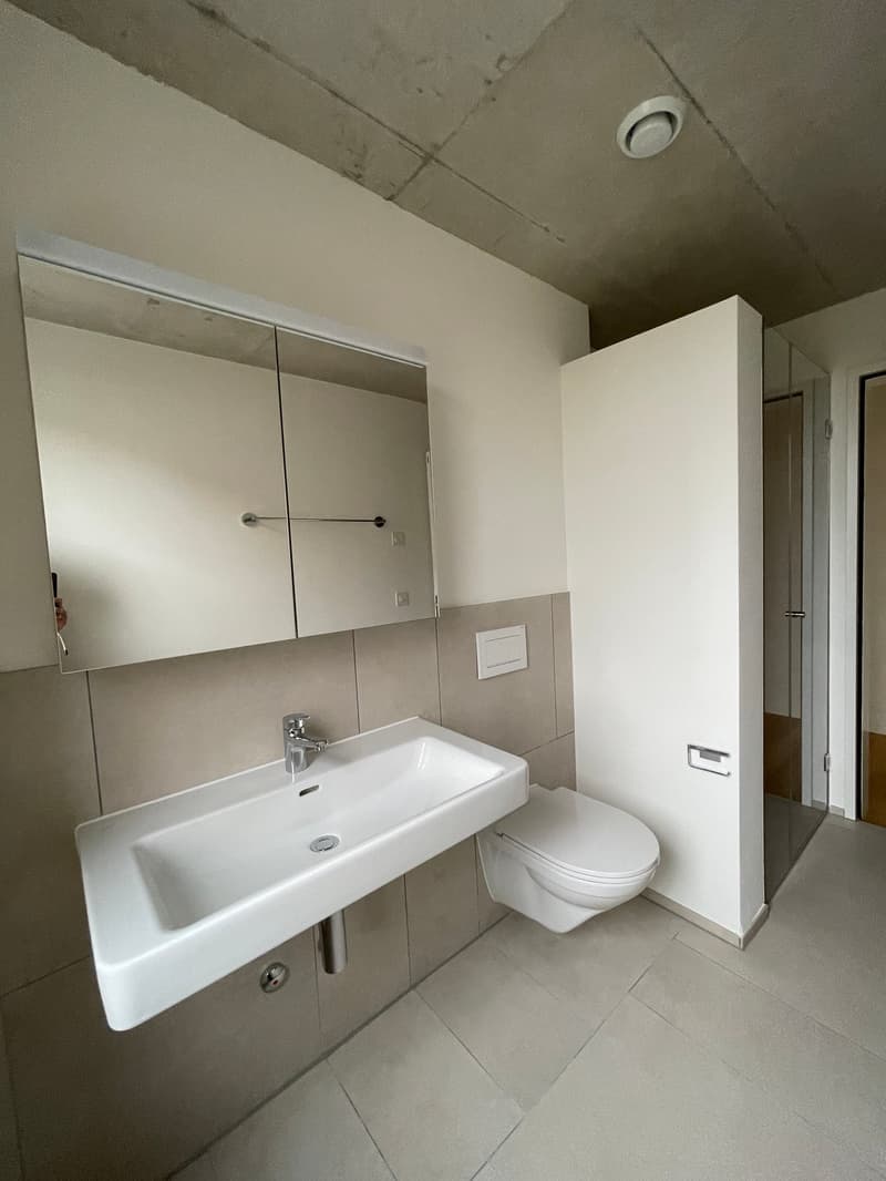 Grosszügige, moderne 3.5-Zimmerwohnung in Höri zu vermieten! (3)
