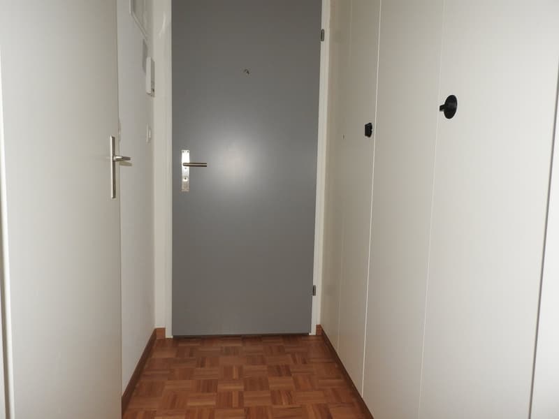 Gemütliche Single-Wohnung an attraktiver Lage in Zürich Höngg! (2)