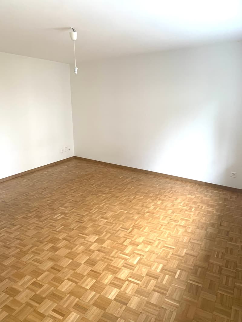 Gemütliche Single-Wohnung an attraktiver Lage in Zürich Höngg! (3)