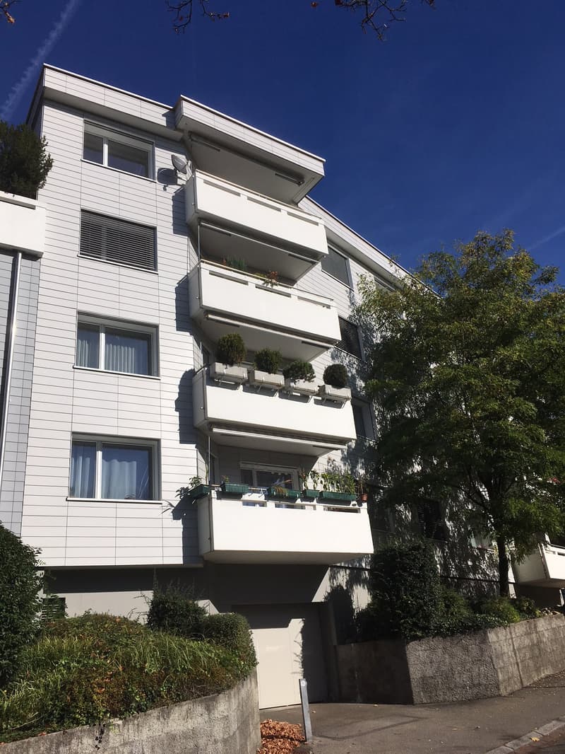 Gemütliche Single-Wohnung an attraktiver Lage in Zürich Höngg! (1)