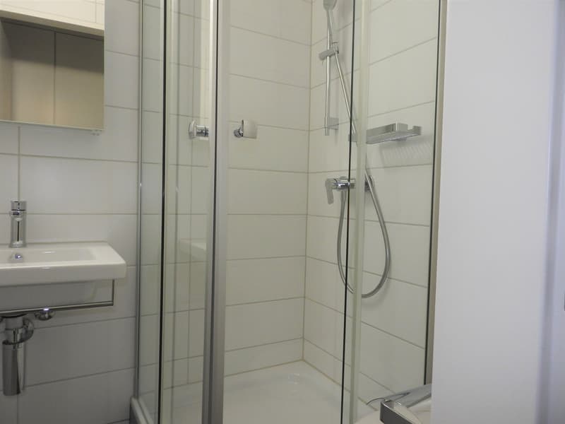 Gemütliche Single-Wohnung an attraktiver Lage in Zürich Höngg! (5)