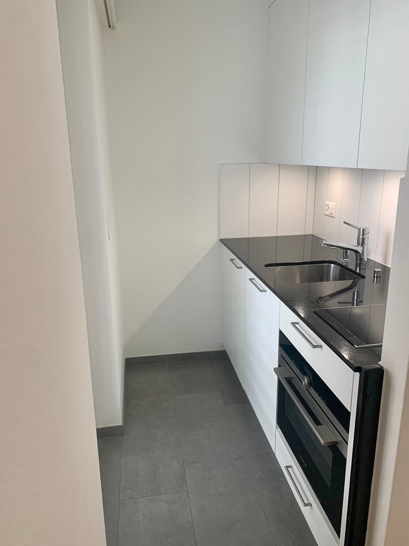 Gemütliche Single-Wohnung an attraktiver Lage in Zürich Höngg! (4)