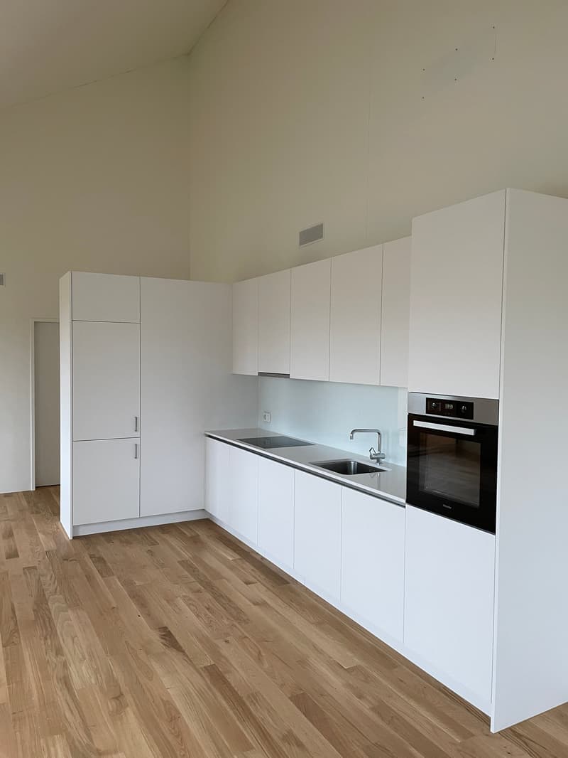 Grosszügige, moderne 2.0-Zimmerwohnung (Studio) in Höri zu vermieten! (3)