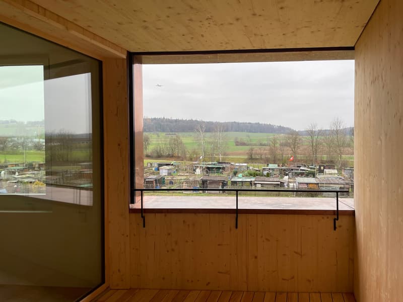 Grosszügige, moderne 2.0-Zimmerwohnung (Studio) in Höri zu vermieten! (12)