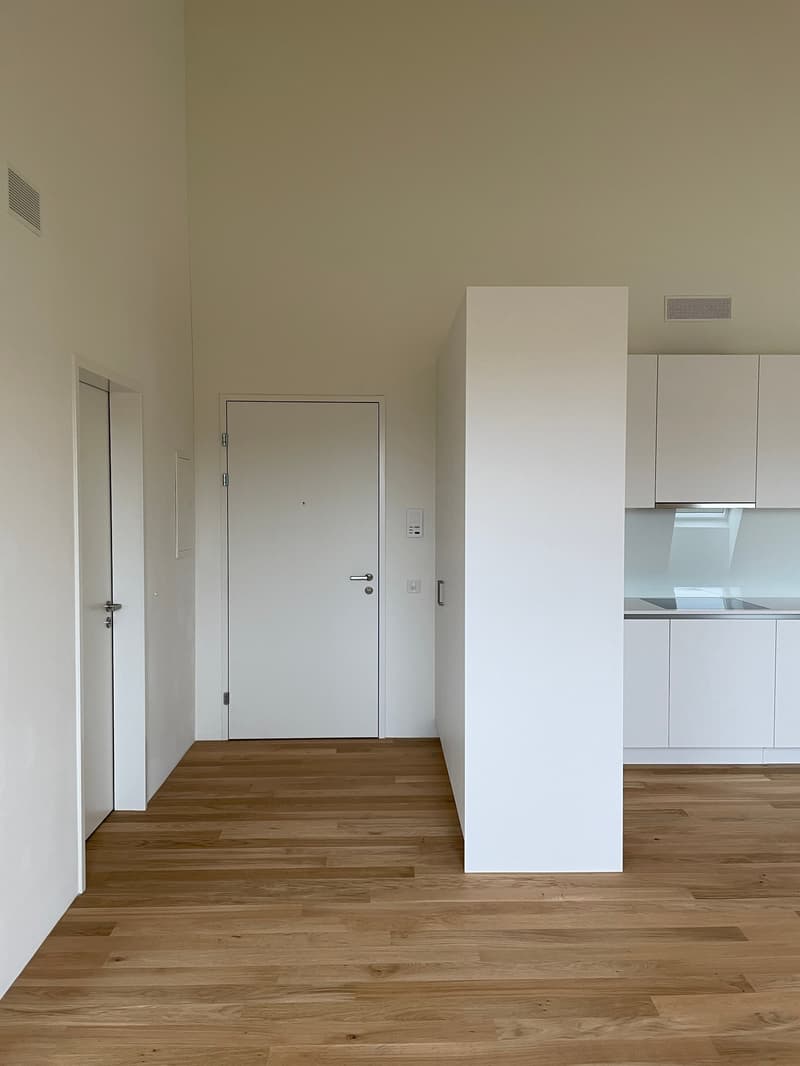 Grosszügige, moderne 2.0-Zimmerwohnung (Studio) in Höri zu vermieten! (7)
