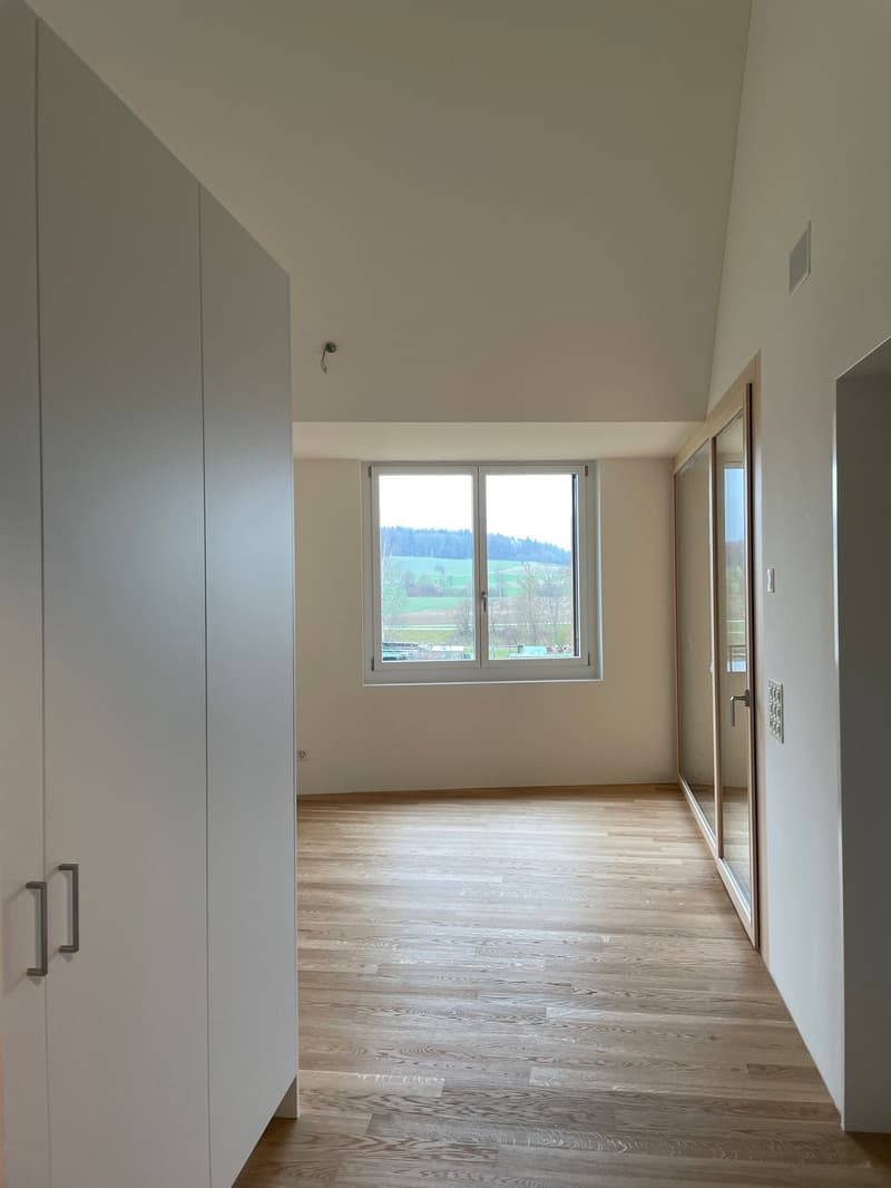 Grosszügige, moderne 2.0-Zimmerwohnung (Studio) in Höri zu vermieten! (6)