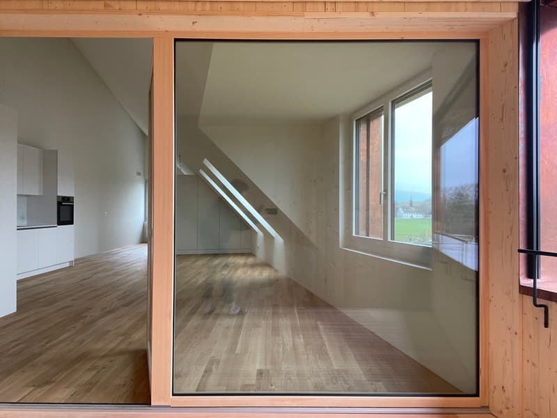 Grosszügige, moderne 2.0-Zimmerwohnung (Studio) in Höri zu vermieten! (13)