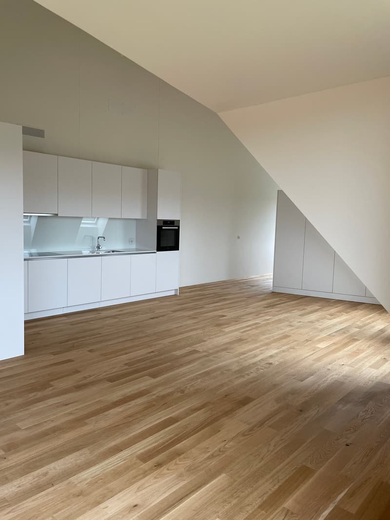 Grosszügige, moderne 2.0-Zimmerwohnung (Studio) in Höri zu vermieten! (4)