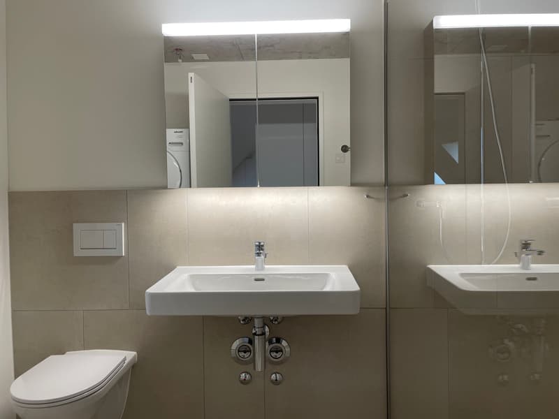 Grosszügige, moderne 2.0-Zimmerwohnung (Studio) in Höri zu vermieten! (9)