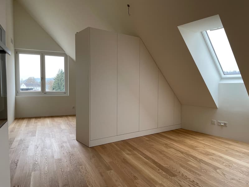 Grosszügige, moderne 2.0-Zimmerwohnung (Studio) in Höri zu vermieten! (5)