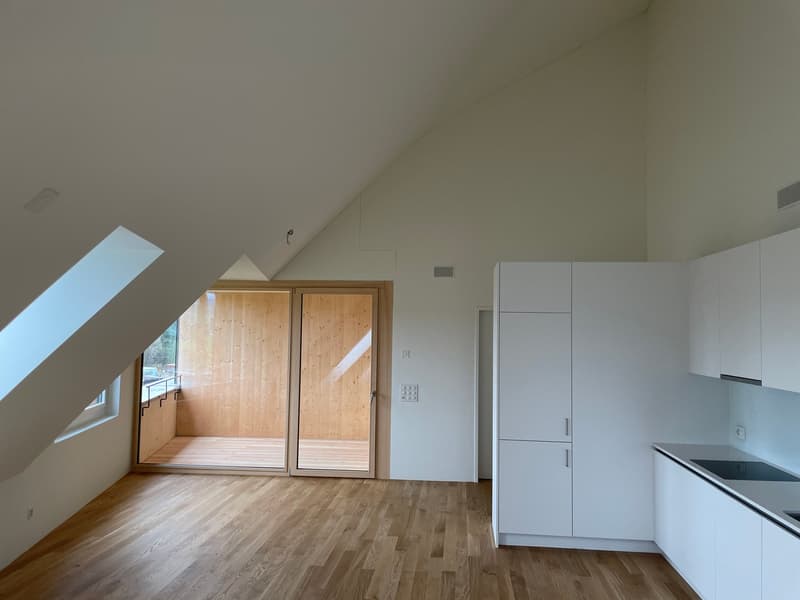 Grosszügige, moderne 2.0-Zimmerwohnung (Studio) in Höri zu vermieten! (2)