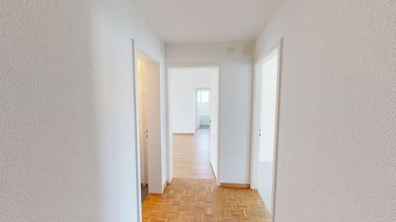 Helle 5-Zimmer-Wohnung mit Balkon in Glattbrugg zu vermieten! (3)