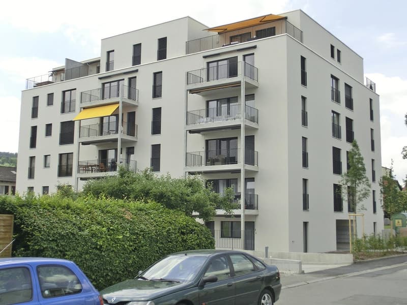 Moderne 3.5-Zimmer-Wohnung in Zürich Schwamendingen (1)