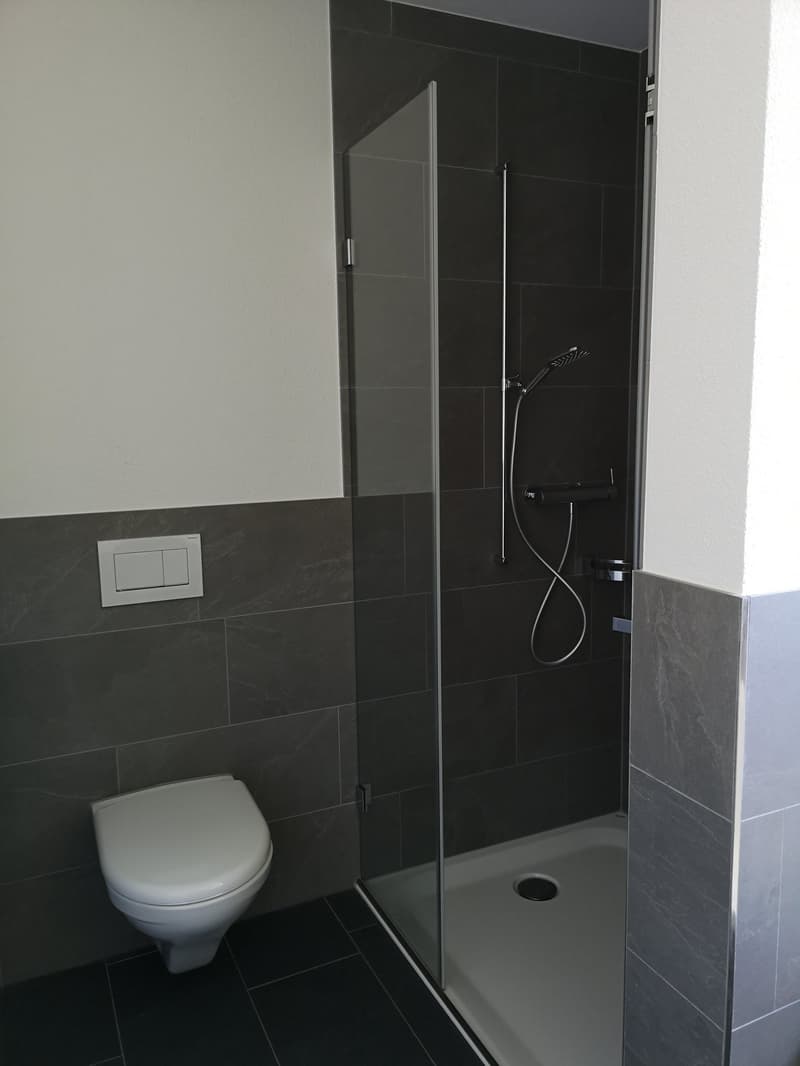 Moderne 3.5-Zimmer-Wohnung mit Terrasse und Aussicht (10)