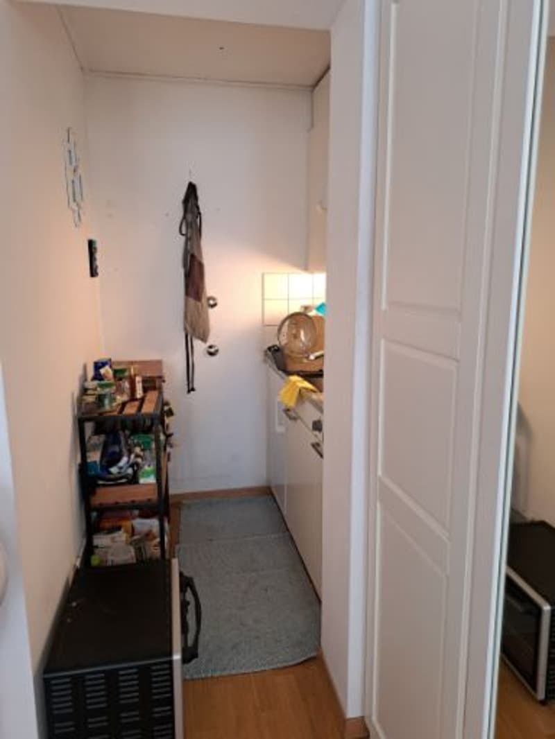 1-Zimmerwohnung in Zürich-Wiedikon zu vermieten! (4)