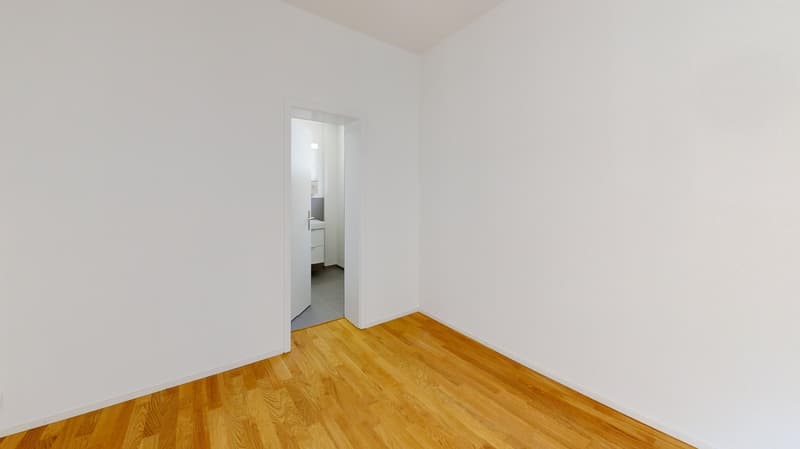 Moderne 1-Zimmerwohnung beim Helvetiaplatz zu vermieten! (6)