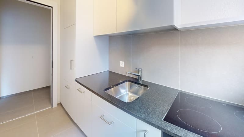 Moderne 1-Zimmerwohnung beim Helvetiaplatz zu vermieten! (2)