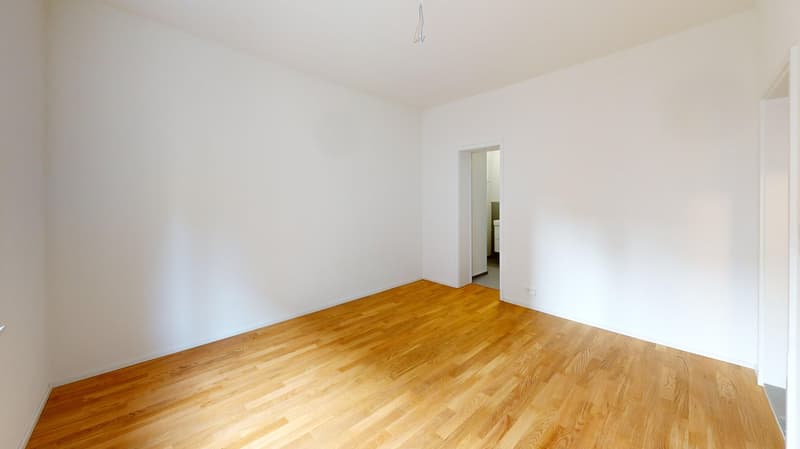 Moderne 1-Zimmerwohnung beim Helvetiaplatz zu vermieten! (5)