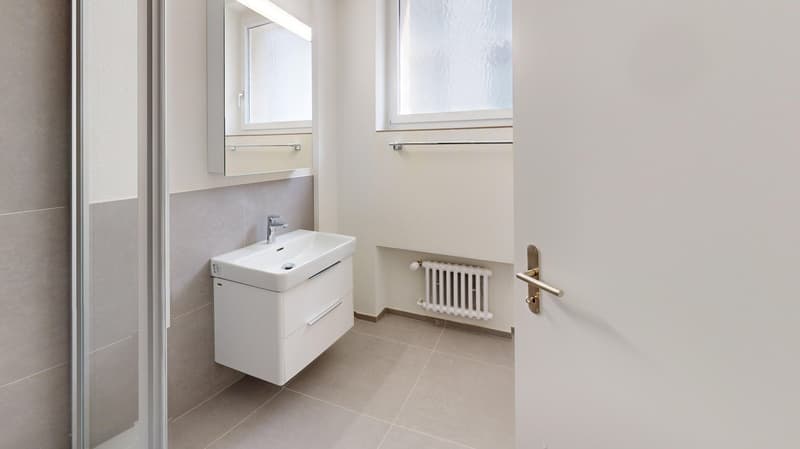 Moderne 1-Zimmerwohnung beim Helvetiaplatz zu vermieten! (8)
