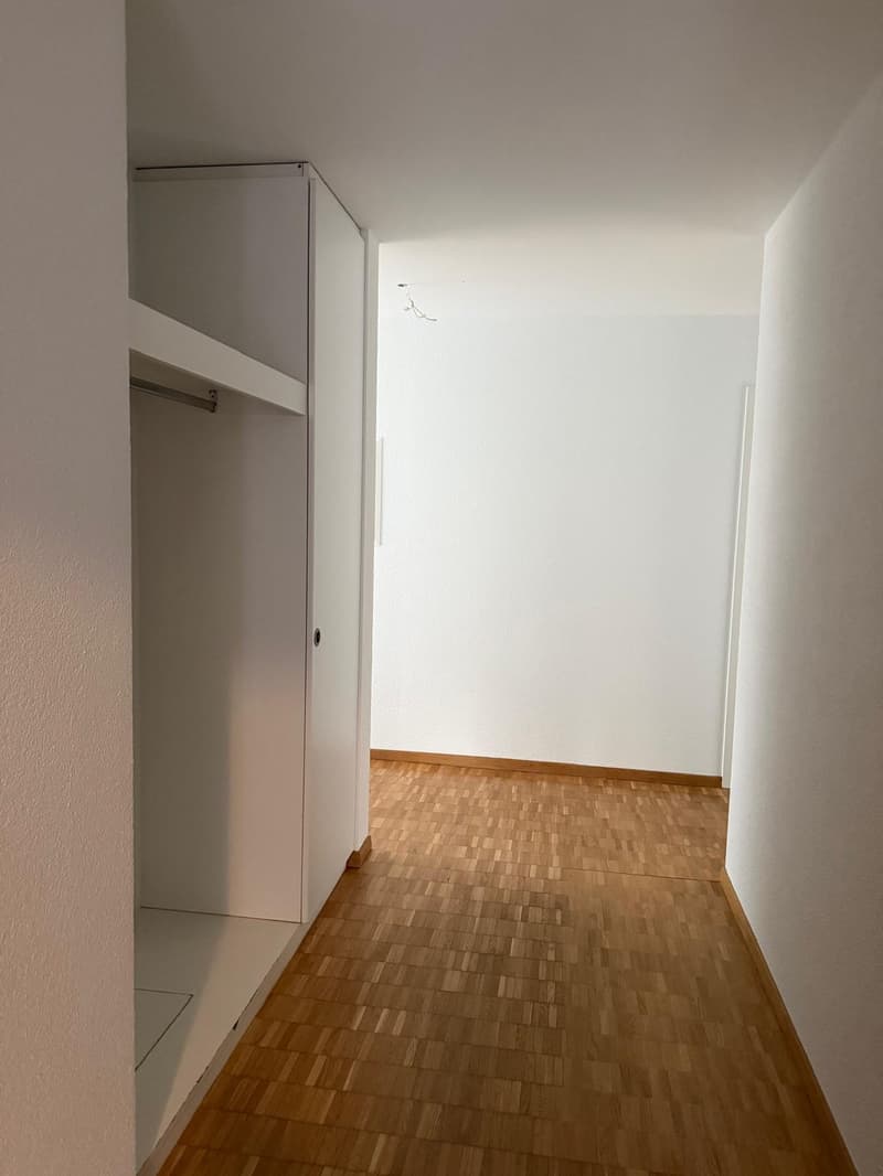 4-Zimmer-Wohnung in Zürich Seebach zu vermieten! (3)