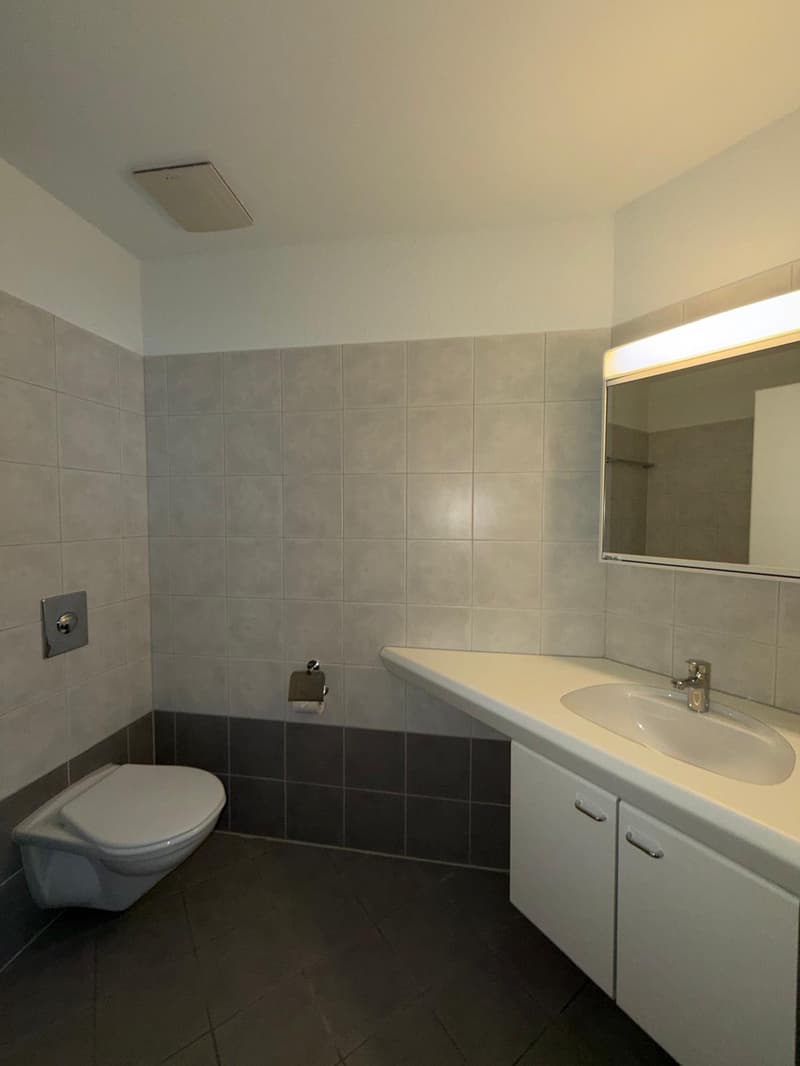 4-Zimmer-Wohnung in Zürich Seebach zu vermieten! (6)